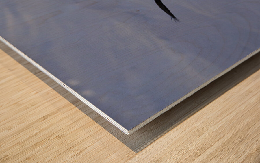 Lovers In Flight Wood print