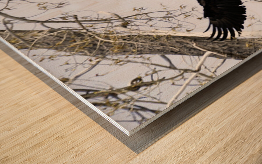 Coming Home Wood print