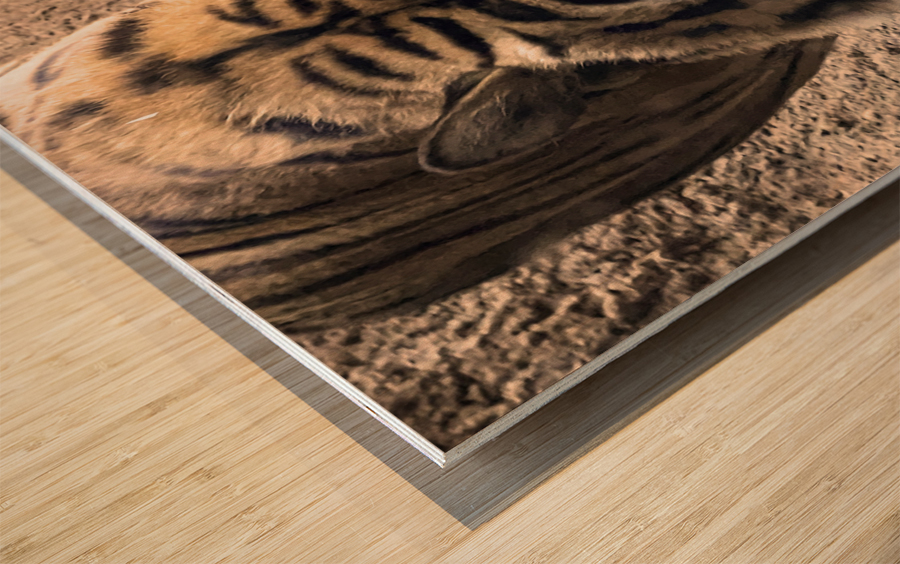 Tiger Wood print