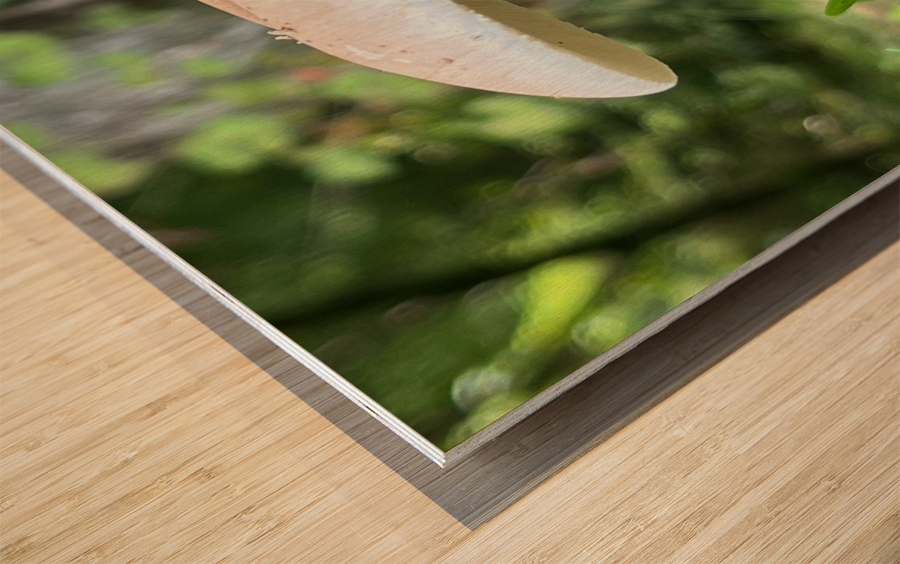 The Mushroom Wood print